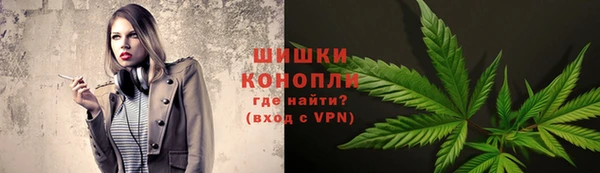 ПСИЛОЦИБИНОВЫЕ ГРИБЫ Зеленодольск