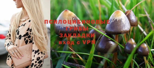 ПСИЛОЦИБИНОВЫЕ ГРИБЫ Зеленодольск